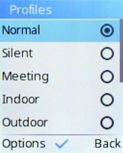 Select Silent to turn on silent mode.