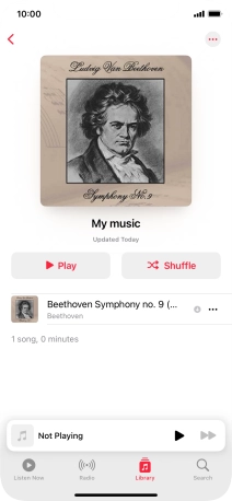 Go to the required category or playlist and press the required audio file.