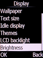 Select Brightness and press the Left selection key.