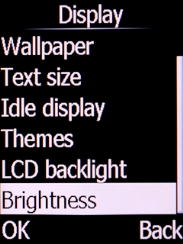 Select Brightness and press the Left selection key.