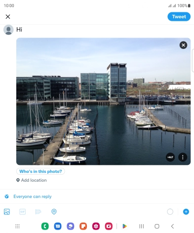 Write the required text and press Tweet.