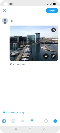 Write the required text and press Tweet.