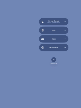 Press the required focus mode to activate or deactivate it immediately.