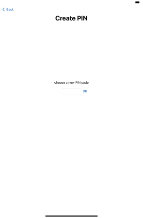 Key in a new four-digit PIN and press OK.