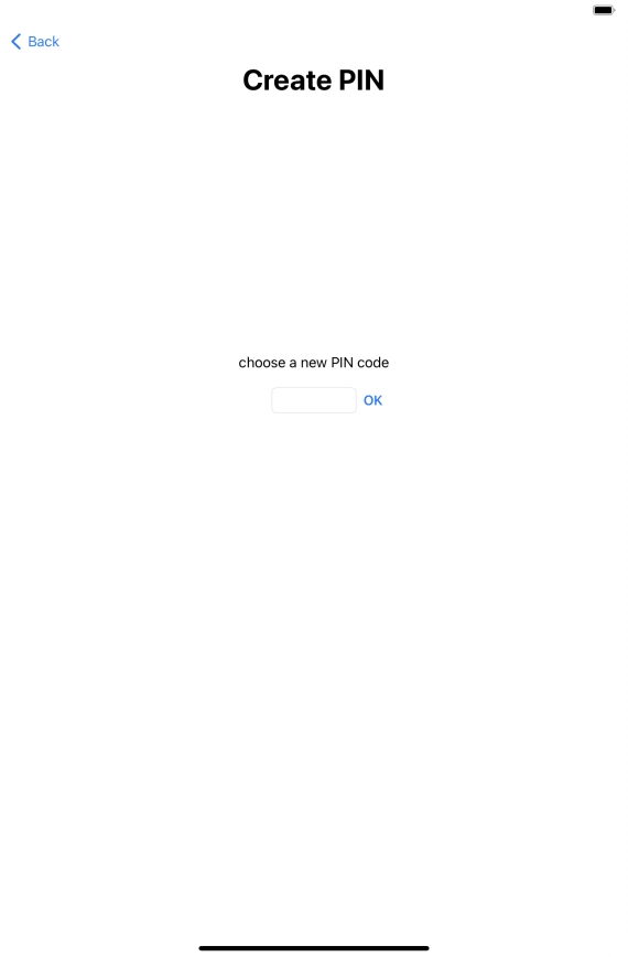 Key in a new four-digit PIN and press OK.