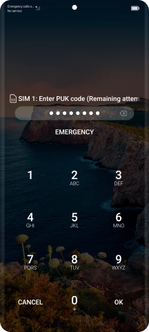 Key in the PUK and press OK.