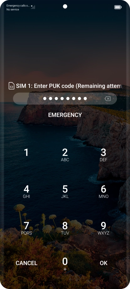 Key in the PUK and press OK.