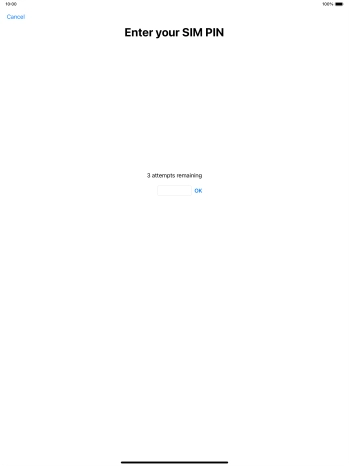 If your SIM is locked, key in your PIN and press OK.