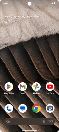 Press the internet browser icon. Press the internet browser icon.