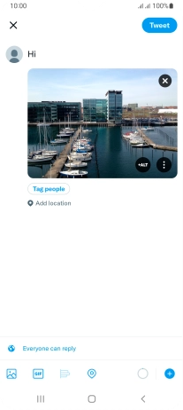 Write the required text and press Tweet.