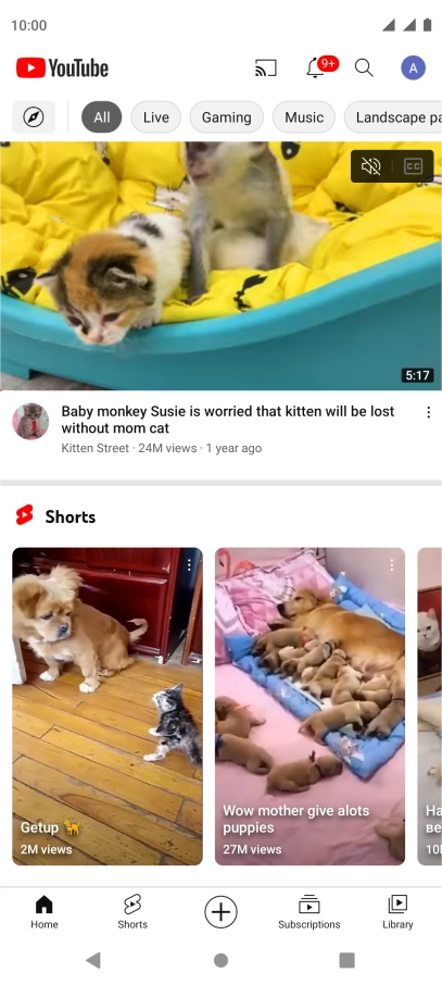 Press the upload icon.