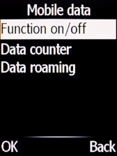 Select Data roaming.