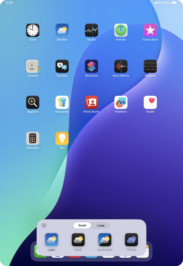 Press the required setting to select the size of app icons on the home screen.