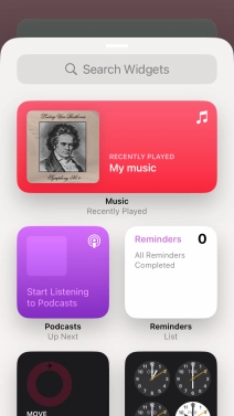 Press the required widget.