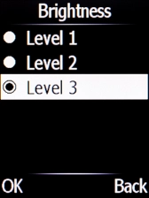 Press the required setting to select the required brightness.
