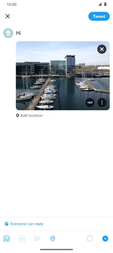 Write the required text and press Tweet.