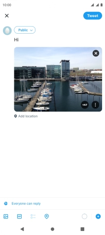 Write the required text and press Tweet.