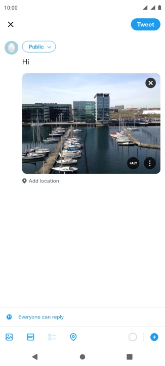 Write the required text and press Tweet.