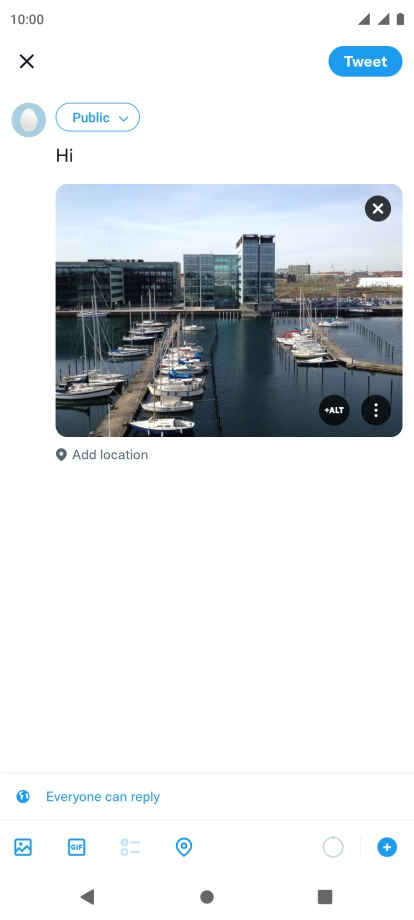 Write the required text and press Tweet.