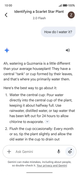 Follow the instructions on the screen to type or speak more questions to continue the conversation.