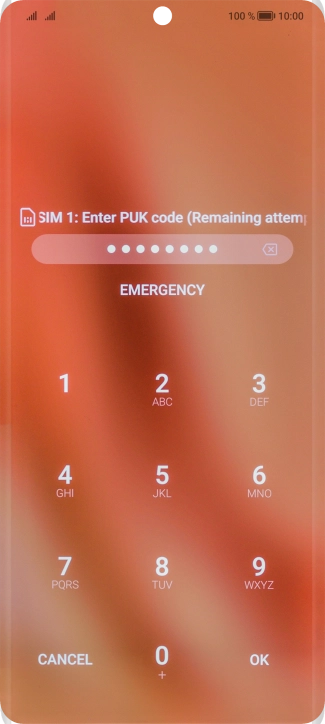 Key in the PUK and press OK.
