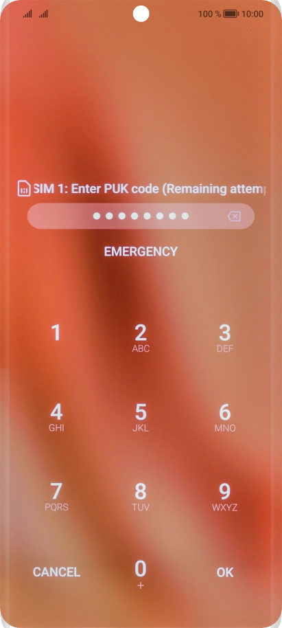 Key in the PUK and press OK.