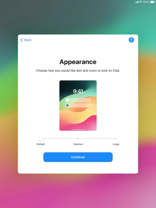 Select the required text and icon size on your tablet and press Continue.