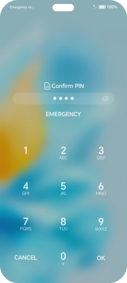 Key in the new PIN again and press OK.