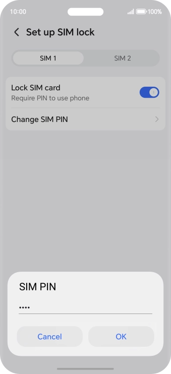 Key in your current PIN and press OK.