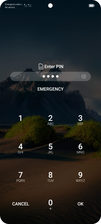 Key in a new four-digit PIN and press OK.
