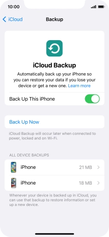 Press Back Up Now and wait while the phone memory is backed up.