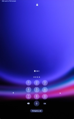 Key in a new four-digit PIN and press OK.