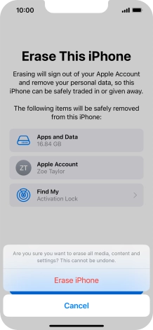 Press Erase iPhone.