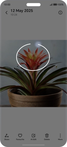 Draw a circle around the required object on the picture using your knuckle.