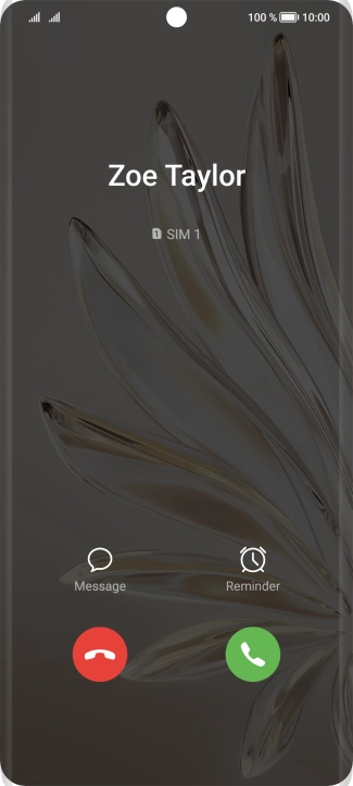 Press the accept call icon.