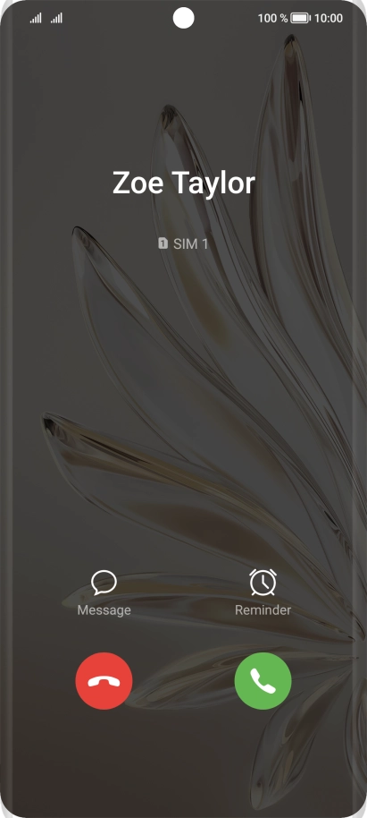 Press the accept call icon.