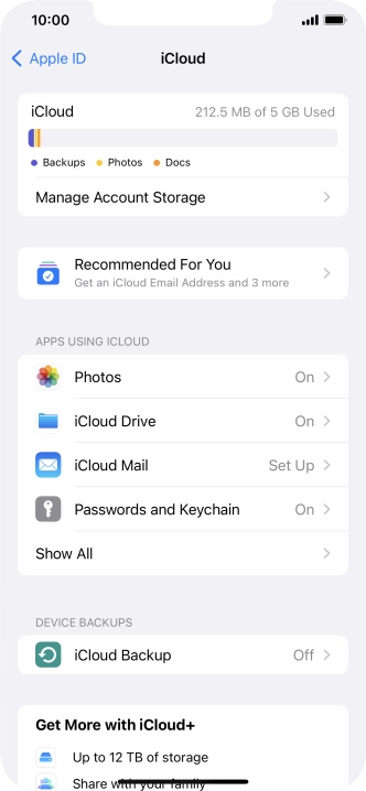 Press iCloud Backup.