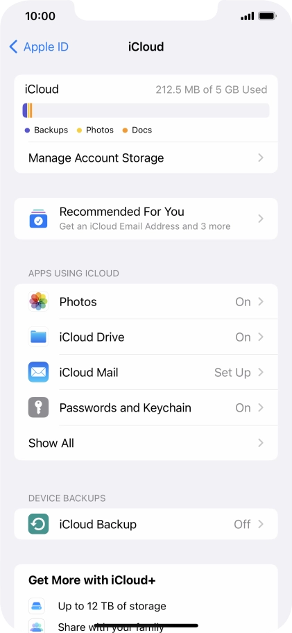 Press iCloud Backup.