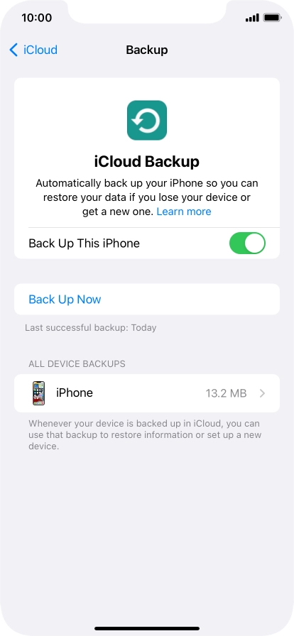 Press Back Up Now and wait while the phone memory is backed up.