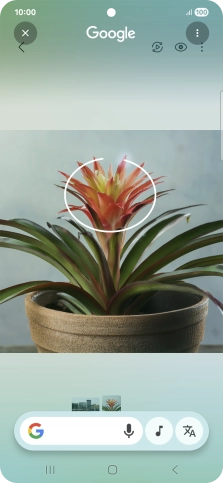 Draw a circle around the required object on the picture and wait for the search results.