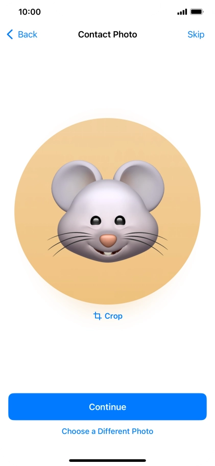 Follow the instructions on the screen to customise the selected picture and press Continue.