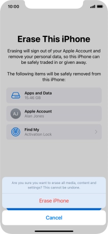 Press Erase iPhone.