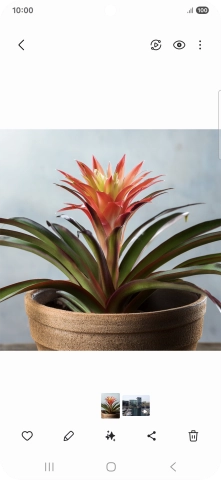 Go to the required picture.