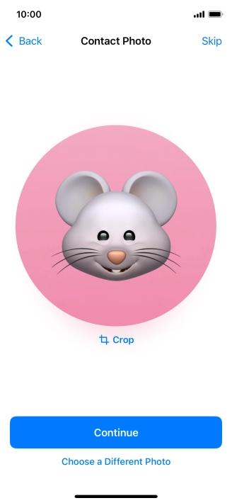 Follow the instructions on the screen to customise the selected picture and press Continue.