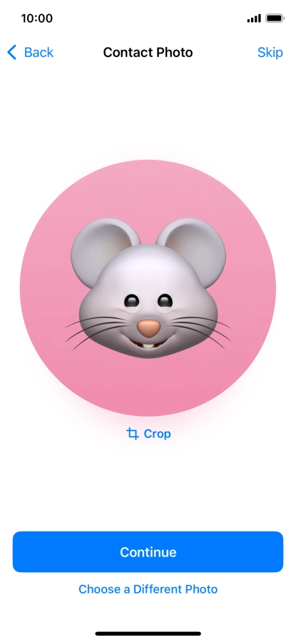 Follow the instructions on the screen to customise the selected picture and press Continue.