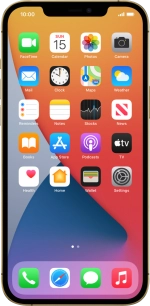 Apple iPhone 12 Pro Max