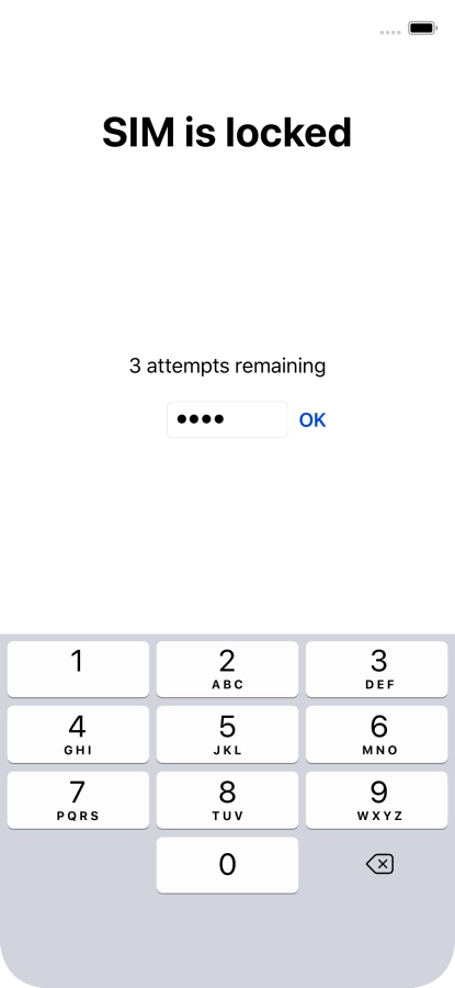 If your SIM is locked, key in your PIN and press OK.