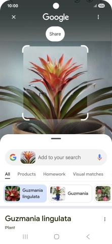 Follow the instructions on the screen to use the search results.