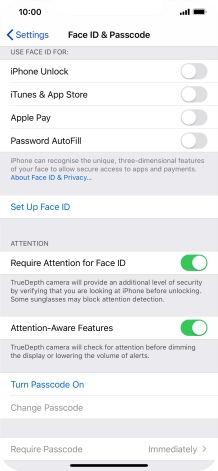 Press Turn Passcode On and key in a phone lock code of your own choice twice.
