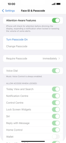 Press Turn Passcode On and key in a phone lock code of your own choice twice.